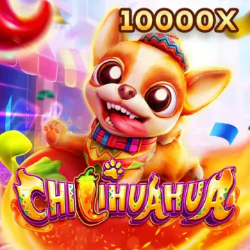 Trò chơi fachai chihuahua portrait